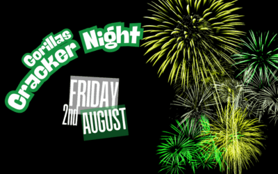 2025-fireworks-night