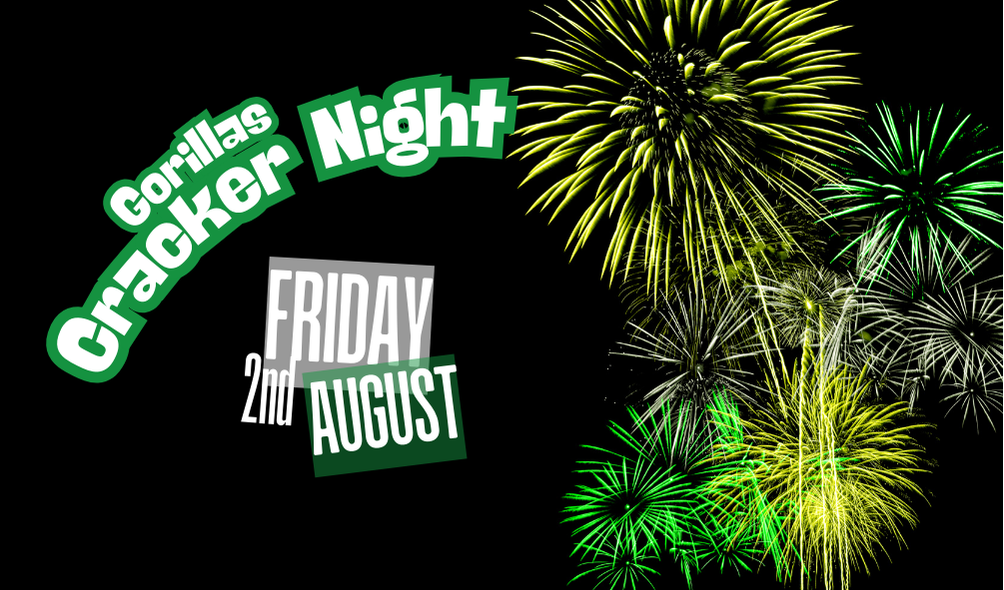 2025-fireworks-night
